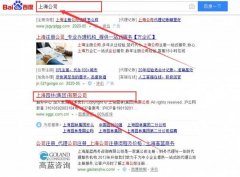 上海園林(集團(tuán))有限公司和我公司簽訂SEO推廣項(xiàng)目