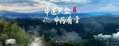 普洱淞*醫(yī)藥集團有限公司網(wǎng)站建設(shè)新一代自助建站、智能建站系統(tǒng)