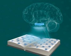 掌握網(wǎng)站SEO優(yōu)化更新，解鎖流量密碼